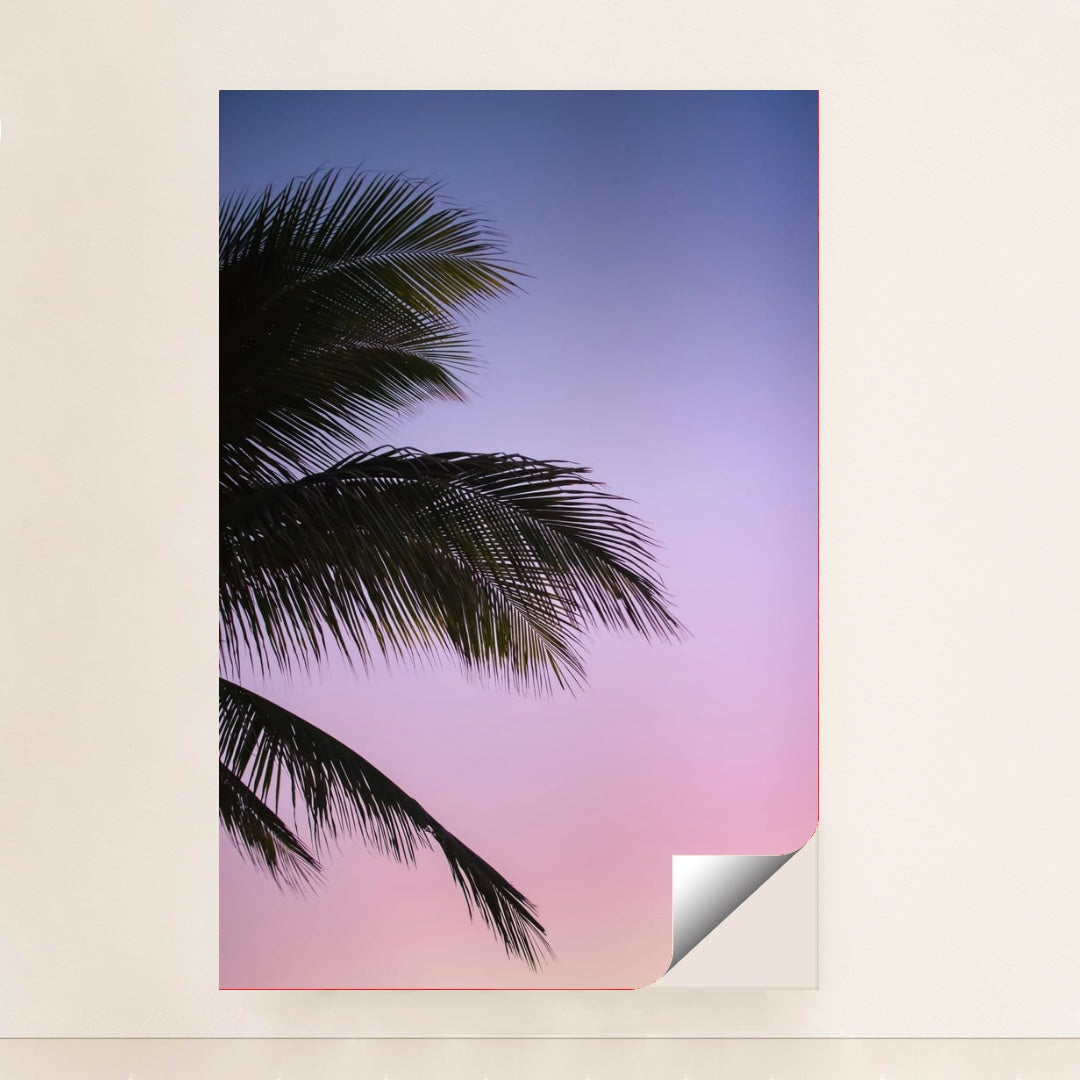 Cotton Candy Skies by Jace & Afsoon - Peeliez