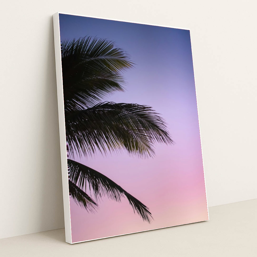 Cotton Candy Skies by Jace & Afsoon - White Frame Stretchiez