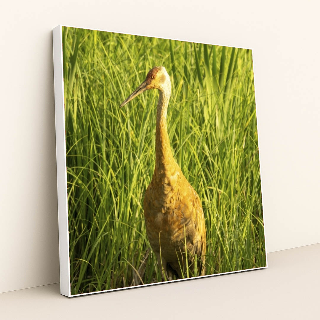 7090292228131 - Product Image