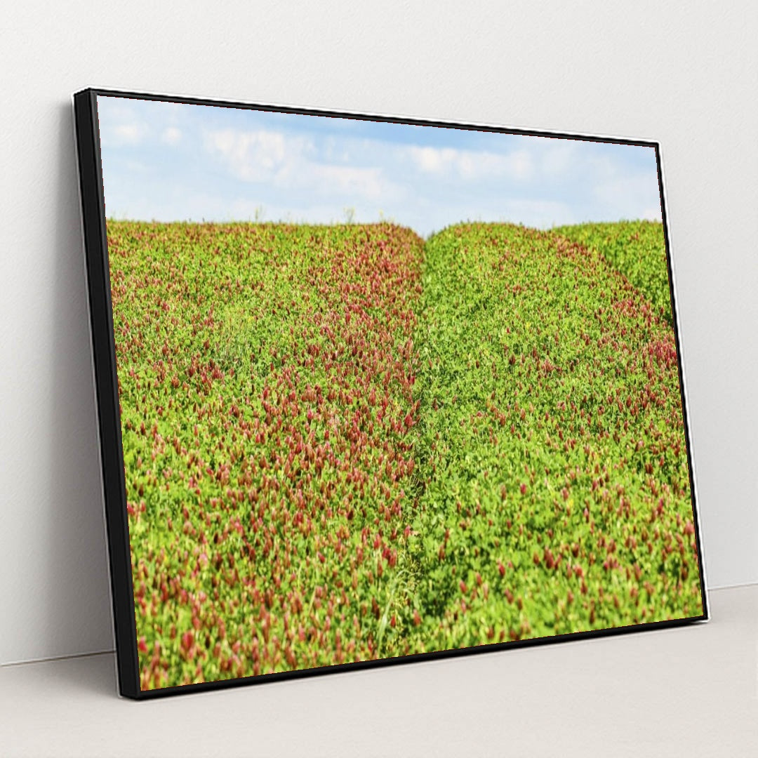 7090291408931 - Product Image