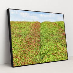 7090291408931 - Product Image