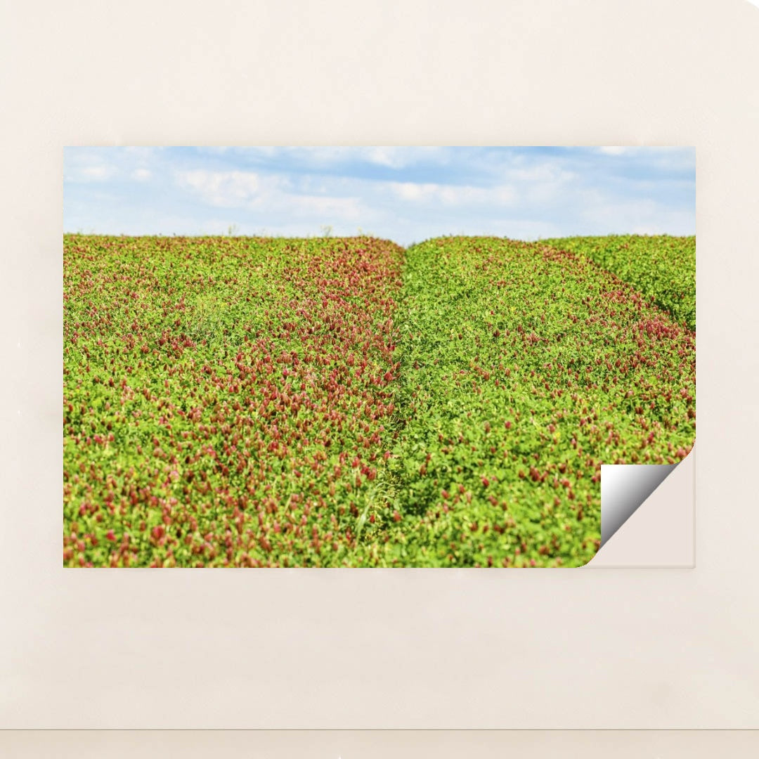 7090291408931 - Product Image