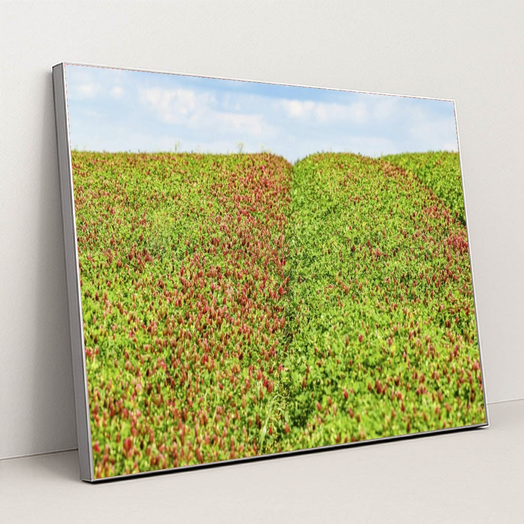 7090291408931 - Product Image