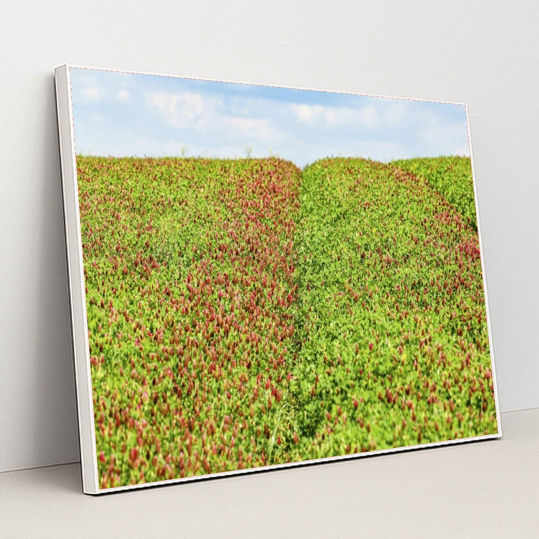 7090291408931 - Product Image