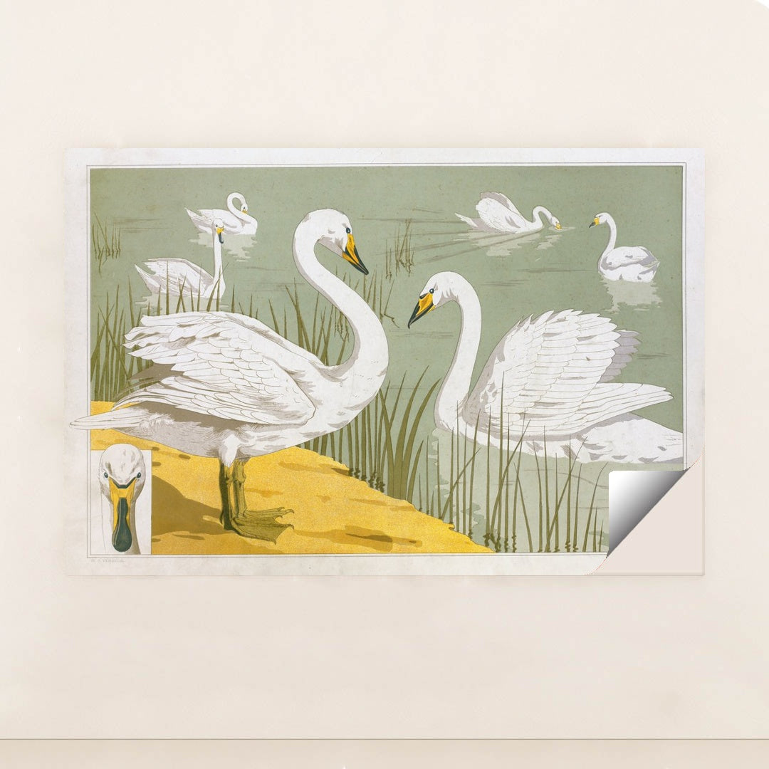 Cygne sauvage (1897) by Maurice Pillard Verneuil - Peeliez