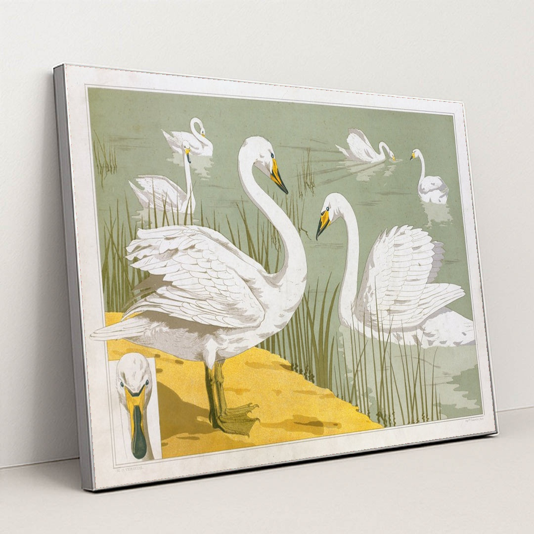Cygne sauvage (1897) by Maurice Pillard Verneuil - Silver Frame Stretchiez