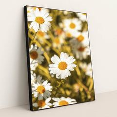 7090234196003 - Product Image