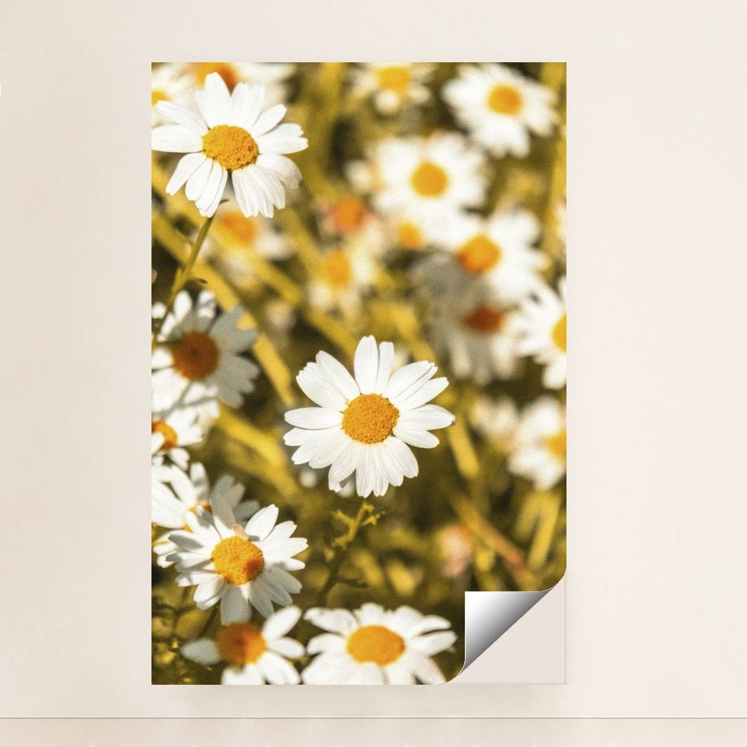 7090234196003 - Product Image