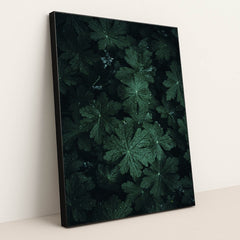 Dark Green Geranium Leaves Covered in Fresh Water Droplets by Wyxina Tresse - Black Frame Stretchiez