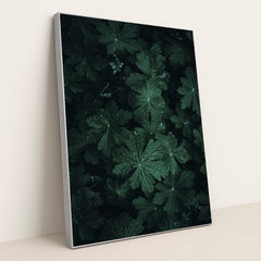 Dark Green Geranium Leaves Covered in Fresh Water Droplets by Wyxina Tresse - Silver Frame Stretchiez