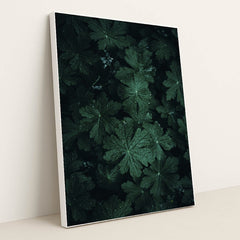 Dark Green Geranium Leaves Covered in Fresh Water Droplets by Wyxina Tresse - White Frame Stretchiez