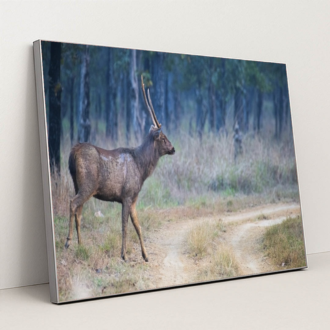 7090292326435 - Product Image