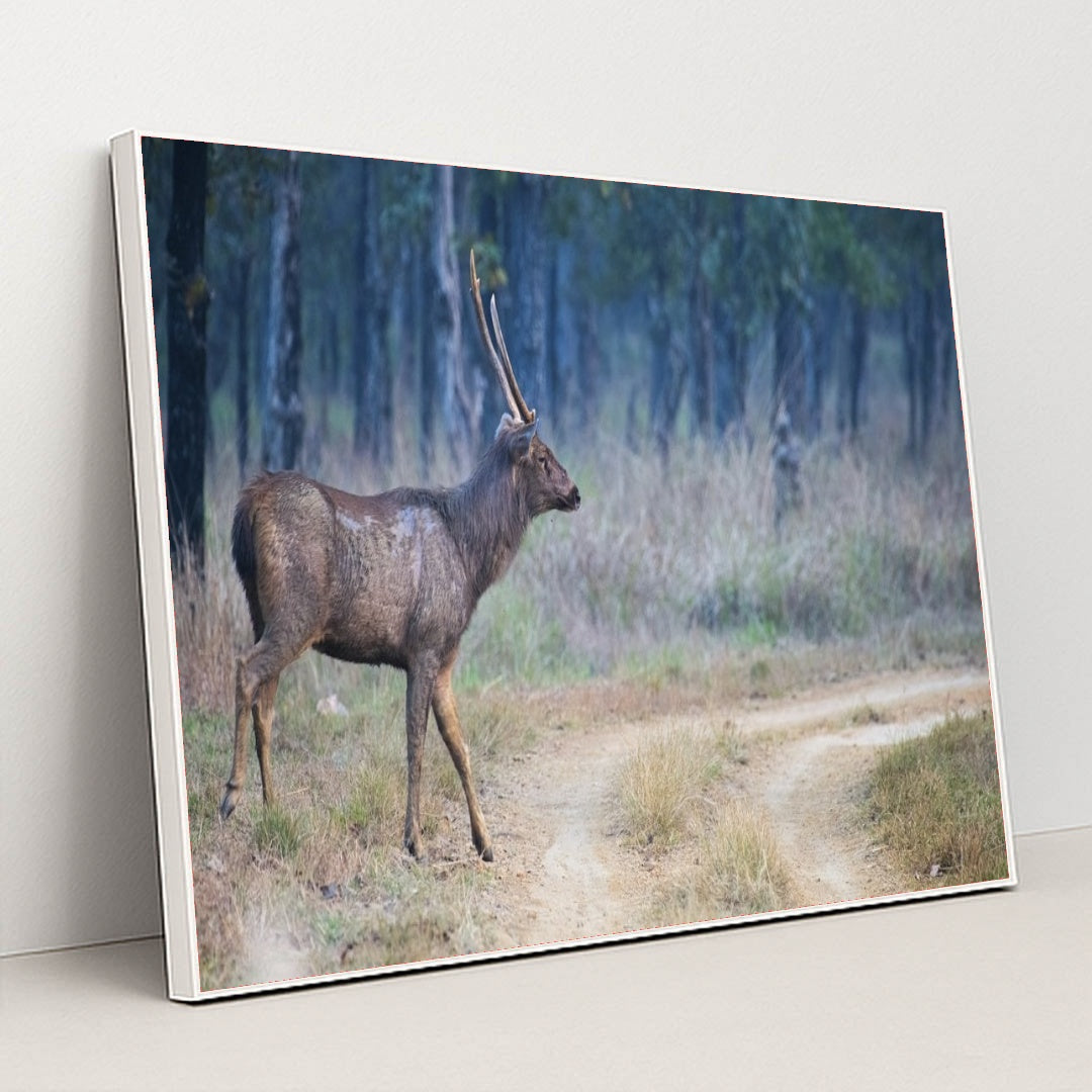 7090292326435 - Product Image