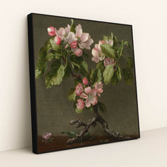 Apple Blossoms 1873 by Martin Johnson Heade - Black Frame Stretchiez