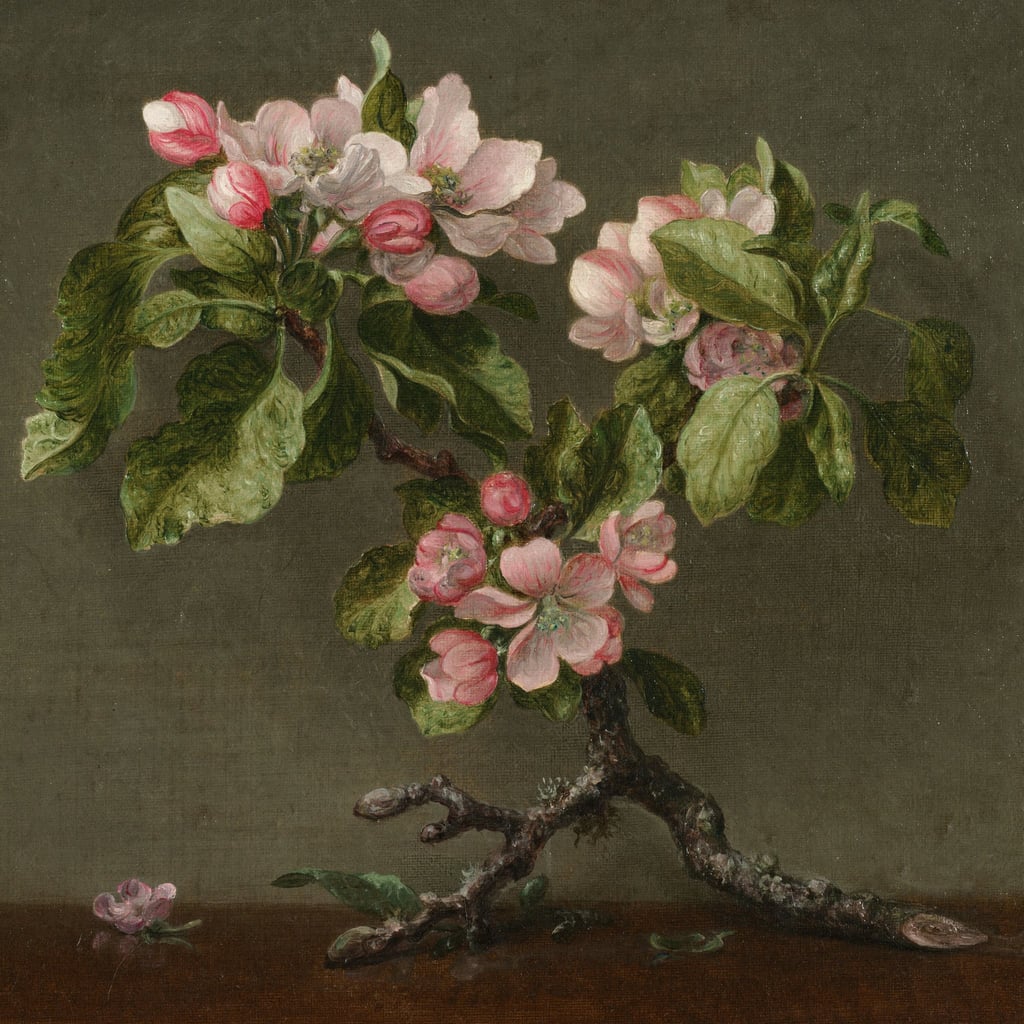 Apple Blossoms 1873 by Martin Johnson Heade
