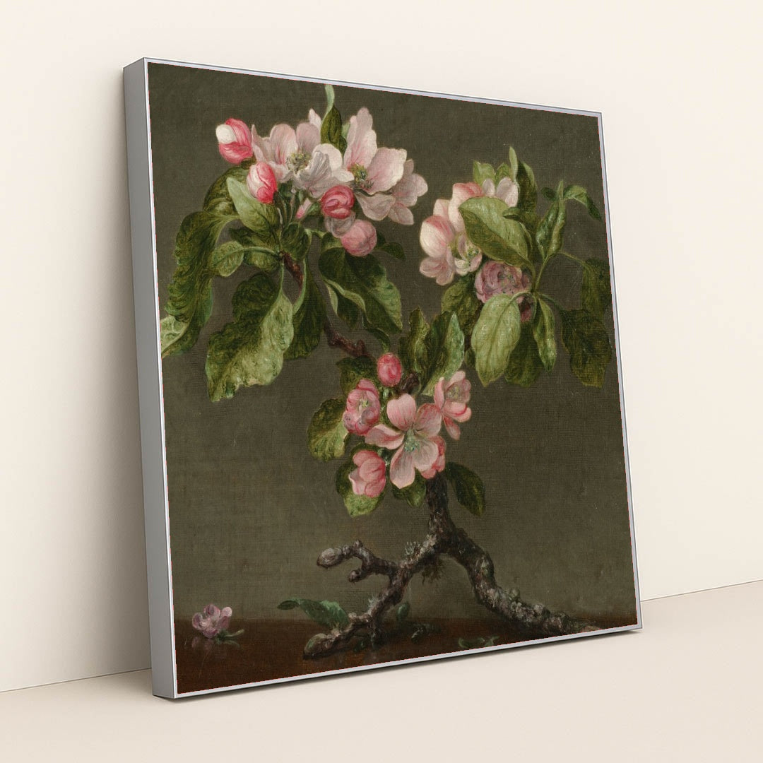 Apple Blossoms 1873 by Martin Johnson Heade - Silver Frame Stretchiez