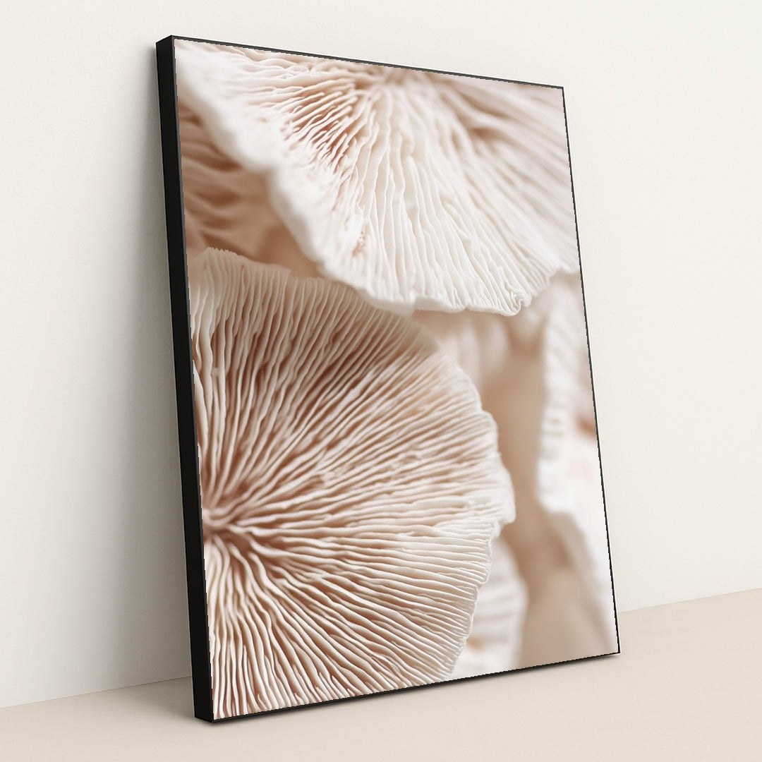 Delicate Details by Celeste - Black Frame Stretchiez
