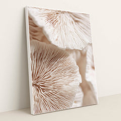 Delicate Details by Celeste - White Frame Stretchiez