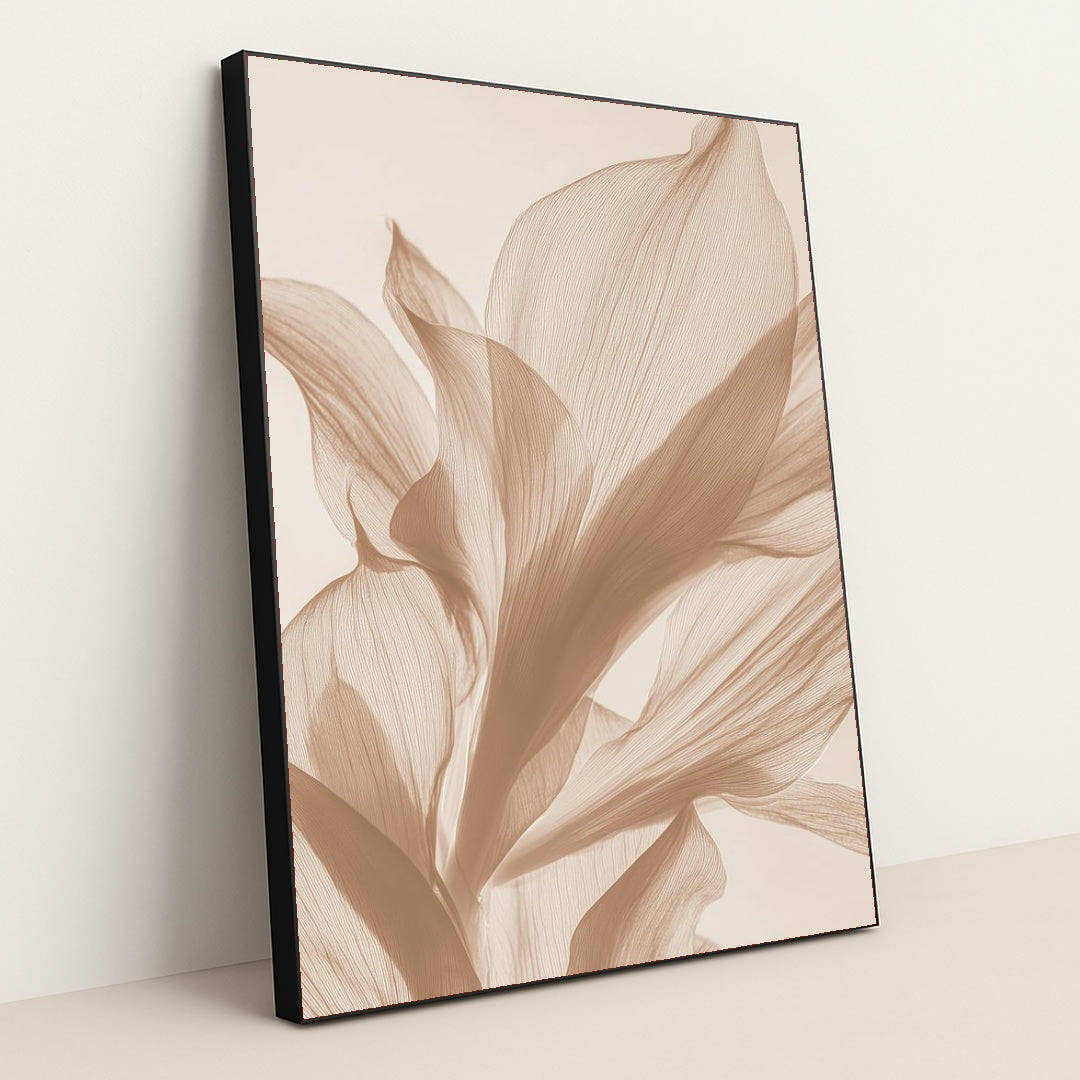 6496 - Product Image