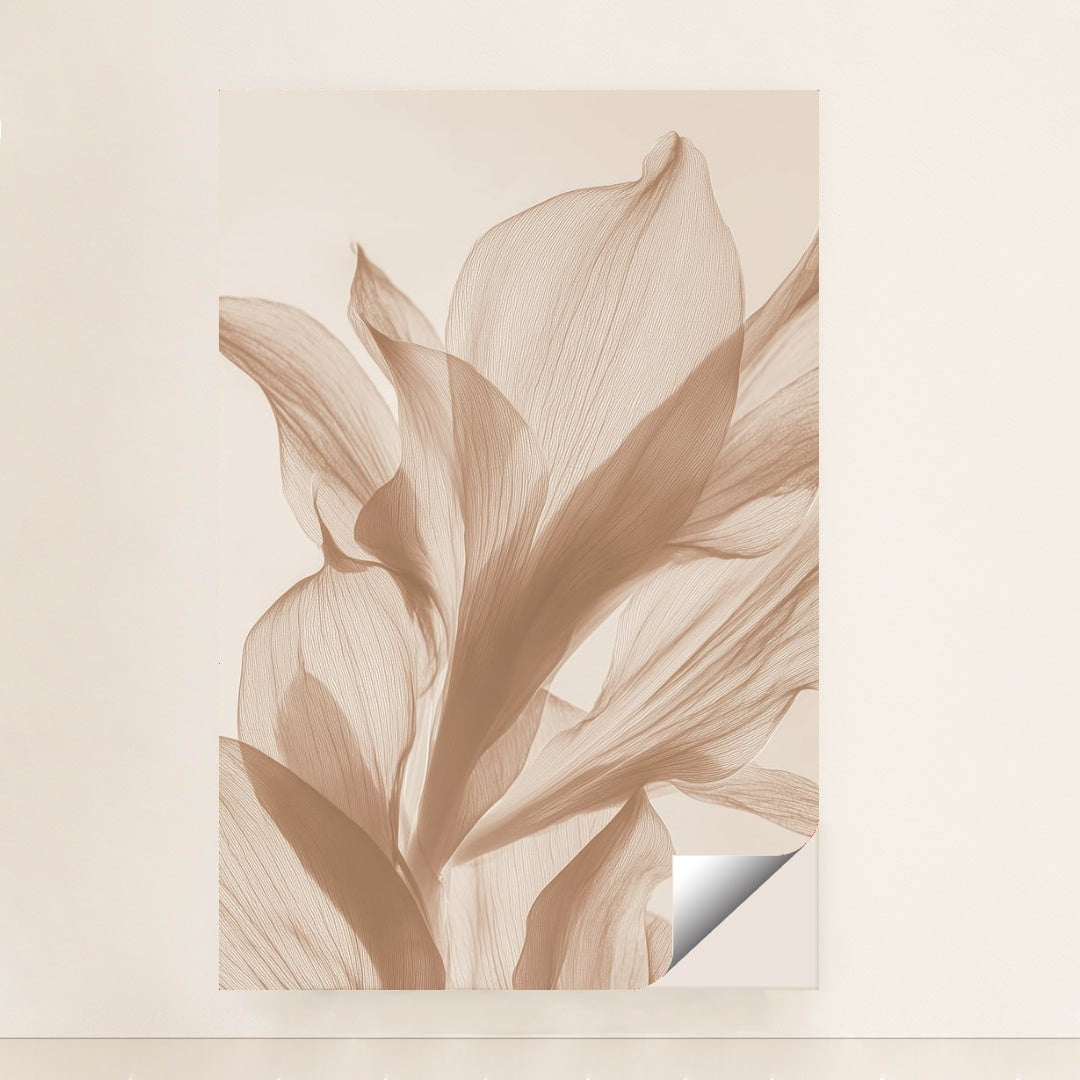 6496 - Product Image