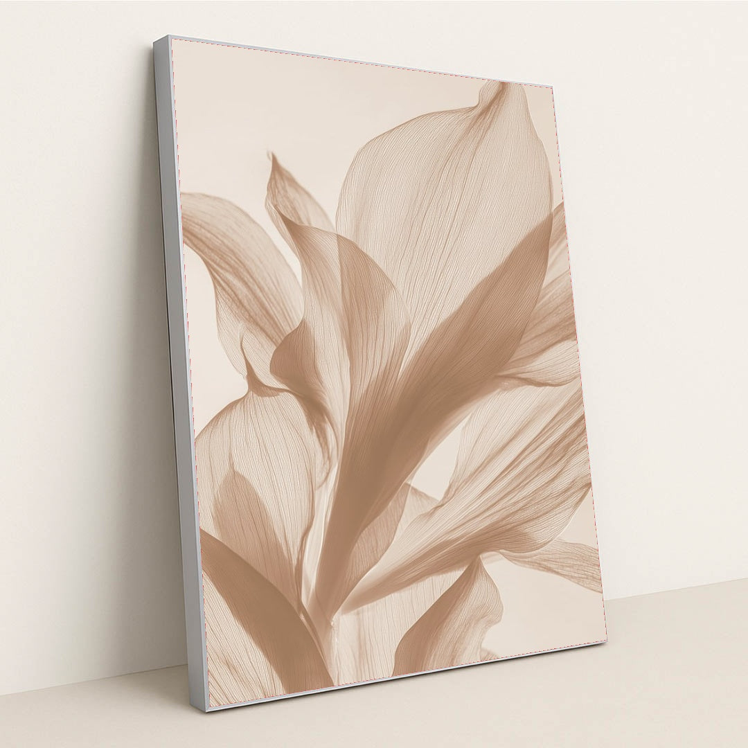 6496 - Product Image