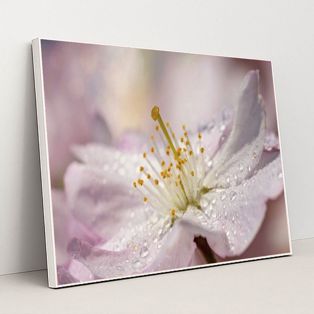 7090285576227 - Product Image