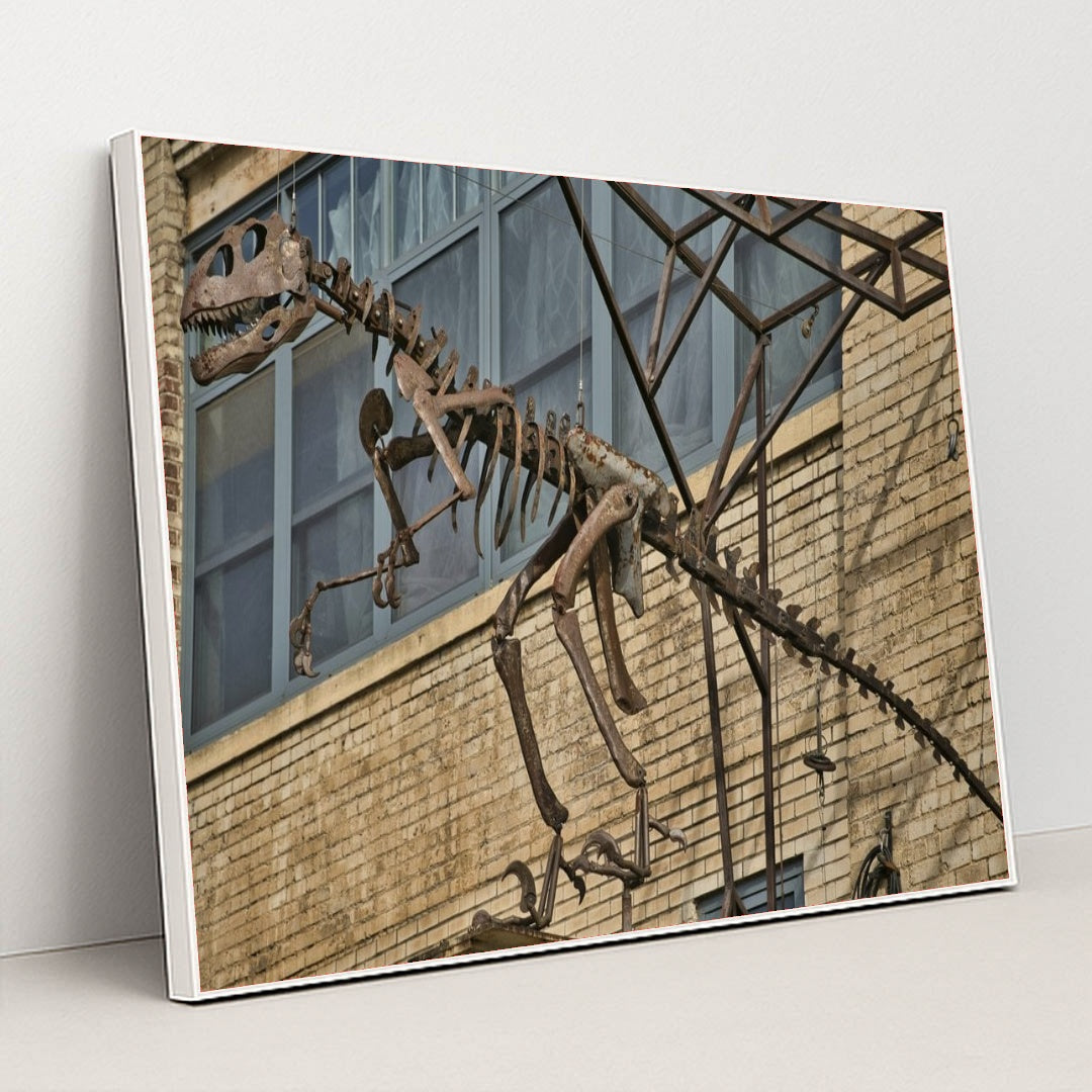 7090705694755 - Product Image