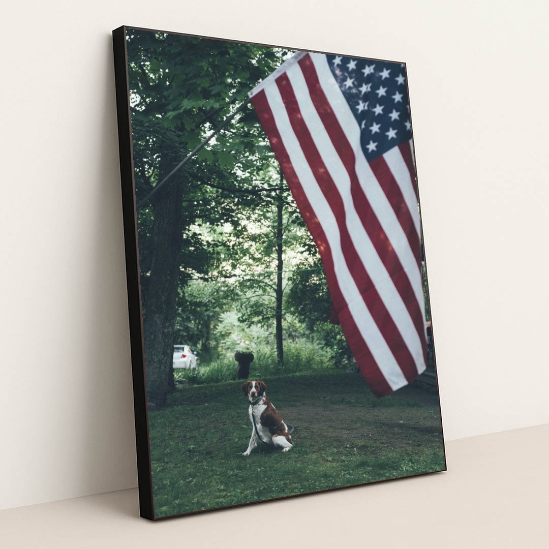 7090329747491 - Product Image