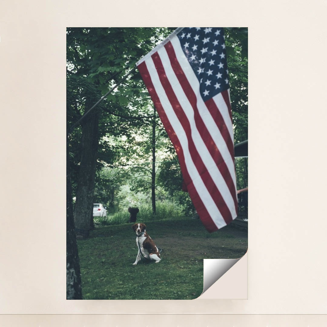 7090329747491 - Product Image