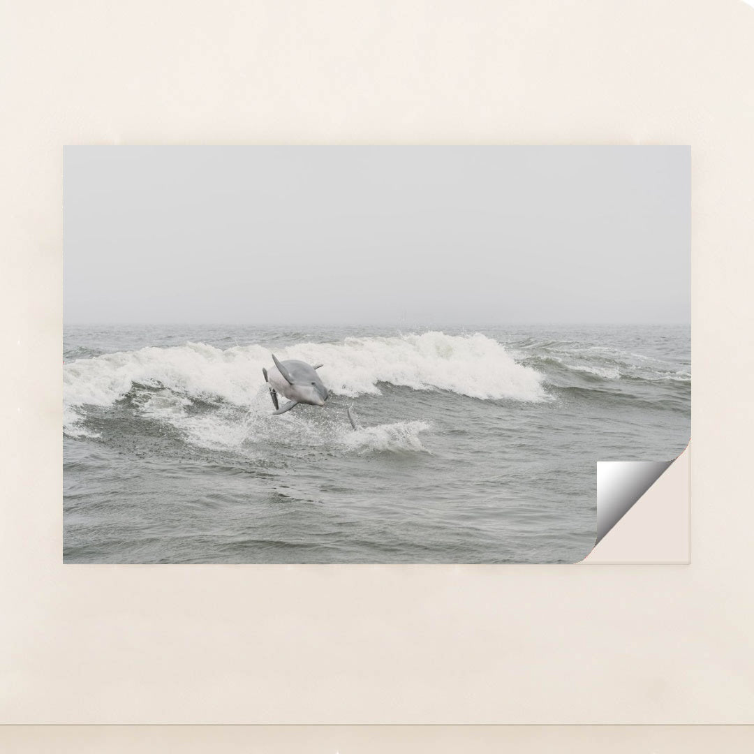 7090348425251 - Product Image