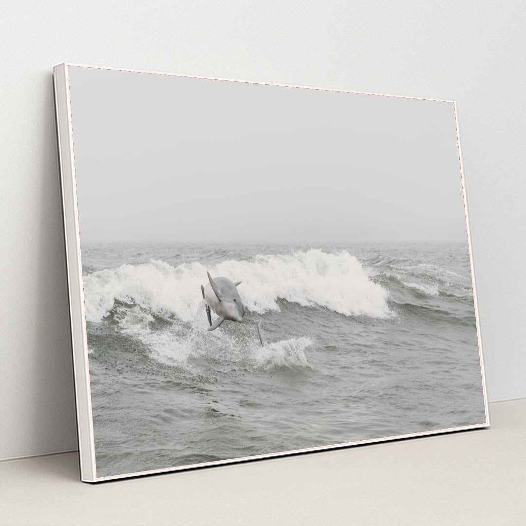 7090348425251 - Product Image