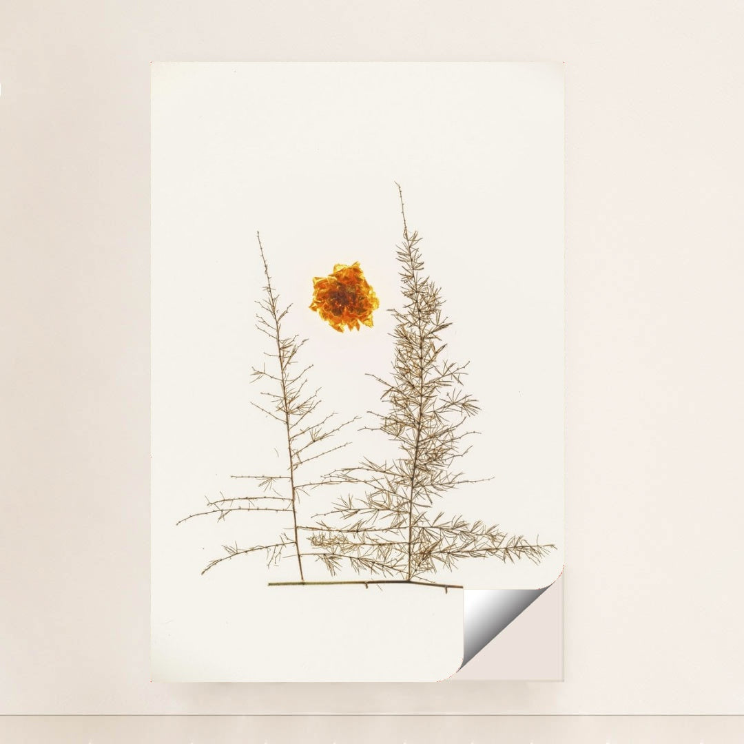 7090288492579 - Product Image