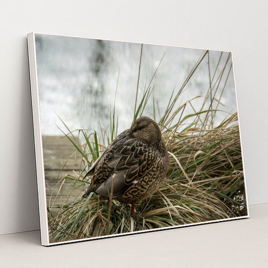 7090330763299 - Product Image