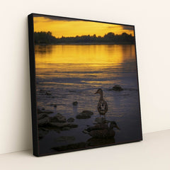 7090777456675 - Product Image