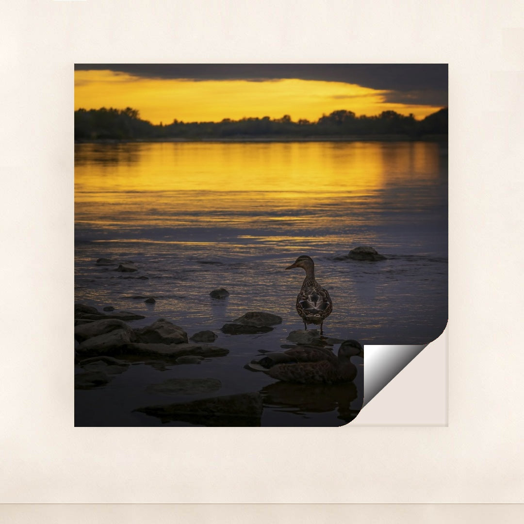 7090777456675 - Product Image