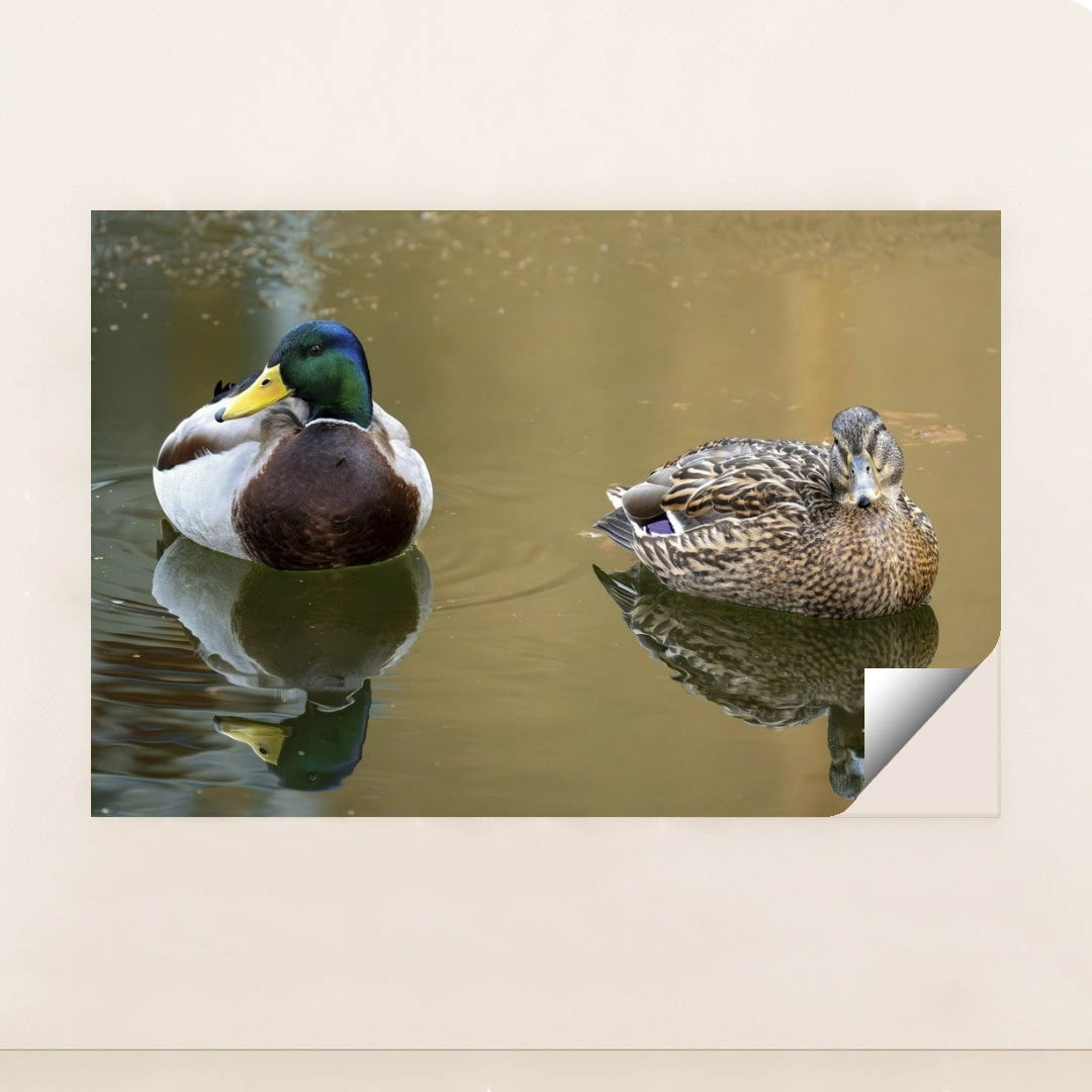 7090330730531 - Product Image