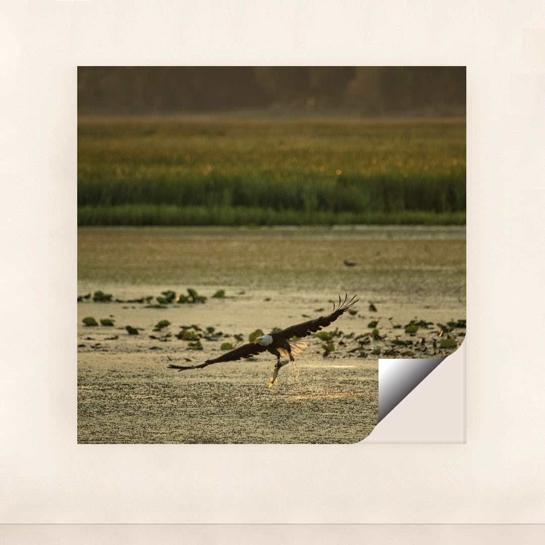 7090364710947 - Product Image