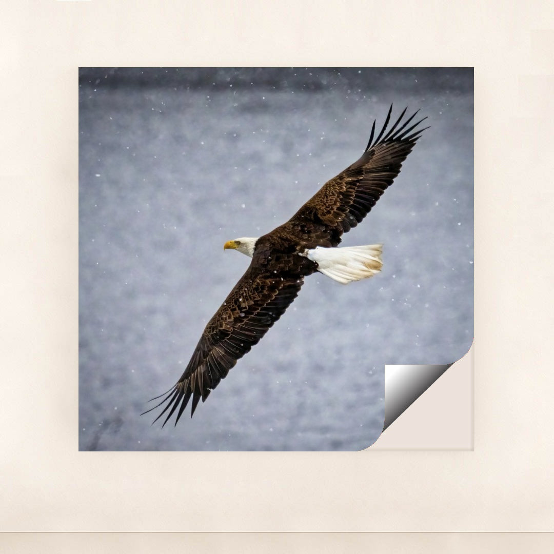 7090327355427 - Product Image