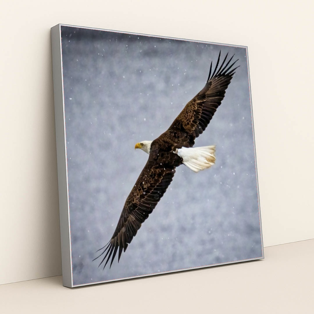 7090327355427 - Product Image