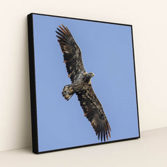 7090327420963 - Product Image