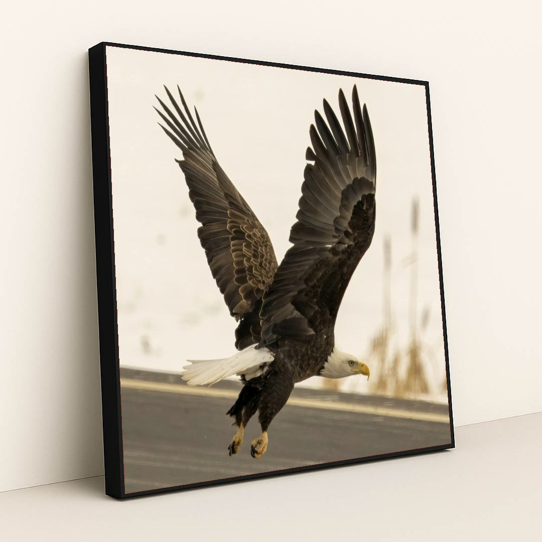 7090327453731 - Product Image