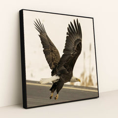 7090327453731 - Product Image