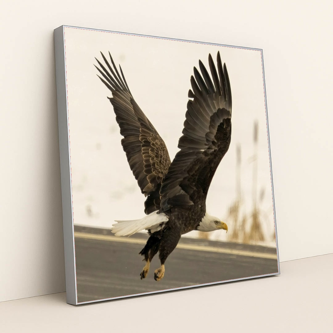 7090327453731 - Product Image