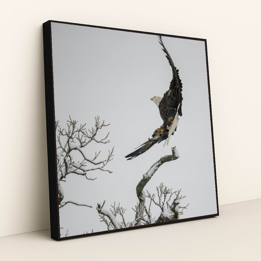 7090332500003 - Product Image