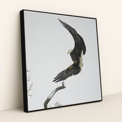 7090327388195 - Product Image