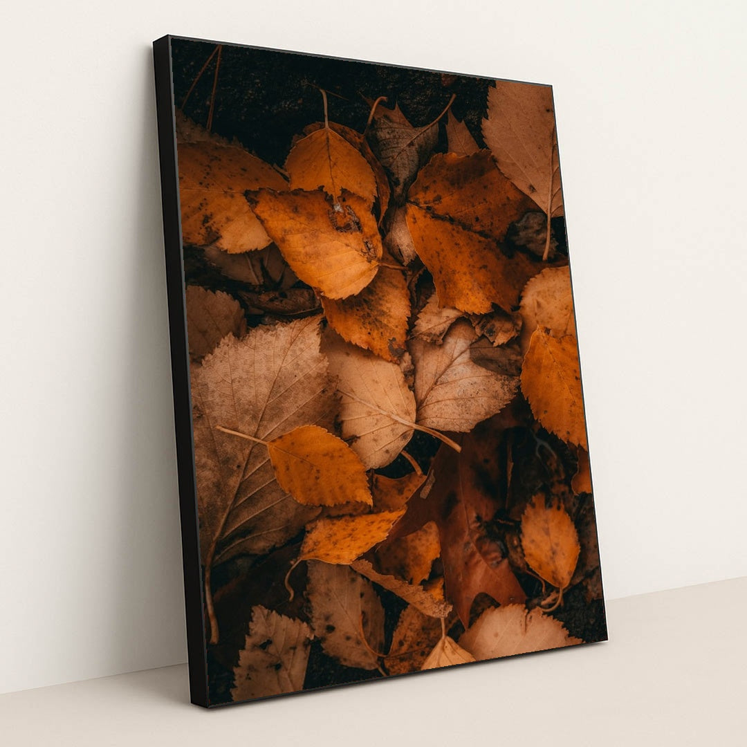 Earth's Quilt by Hans - Black Frame Stretchiez