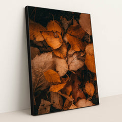 Earth's Quilt by Hans - Black Frame Stretchiez