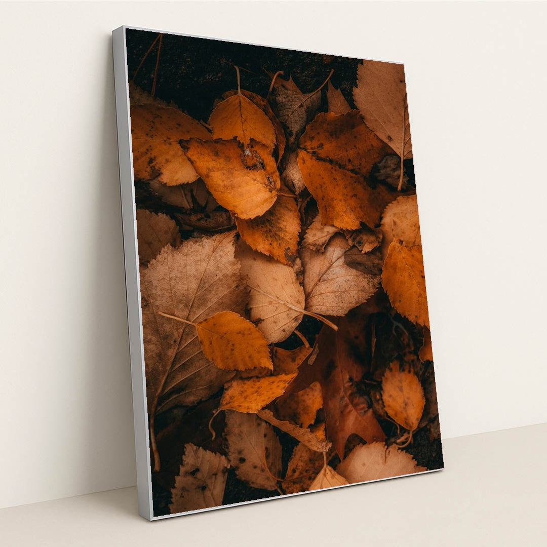 Earth's Quilt by Hans - Silver Frame Stretchiez