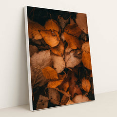 Earth's Quilt by Hans - White Frame Stretchiez