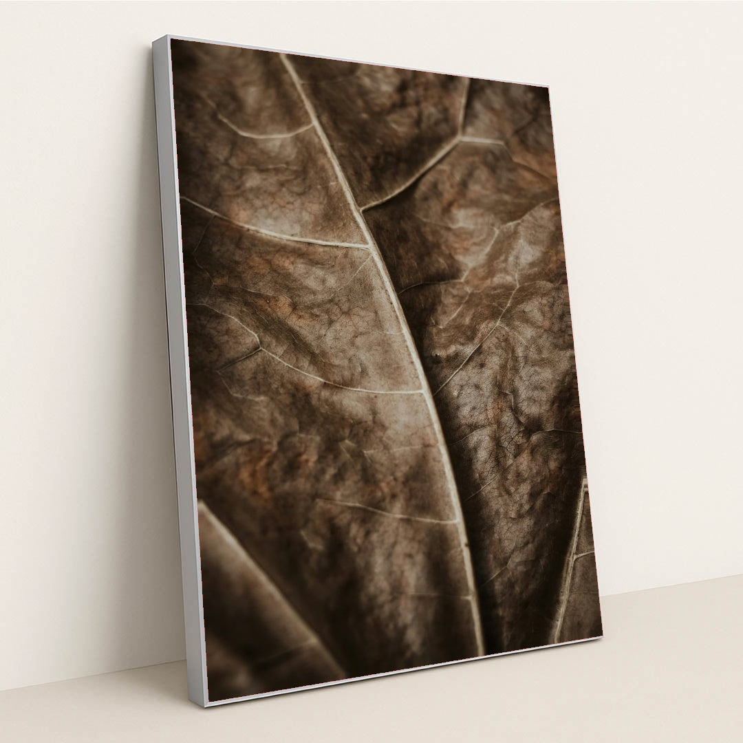 Earthen Veins by Valeriia Miller - Silver Frame Stretchiez